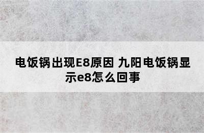 电饭锅出现E8原因 九阳电饭锅显示e8怎么回事